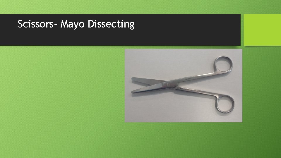 Scissors- Mayo Dissecting 