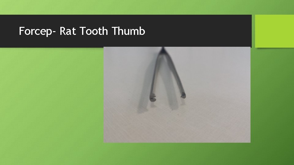Forcep- Rat Tooth Thumb 