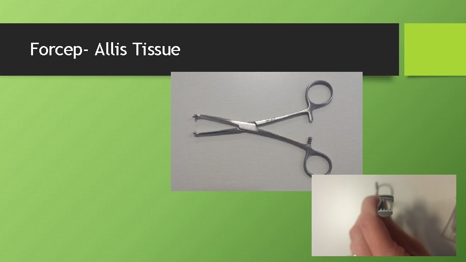 Forcep- Allis Tissue 