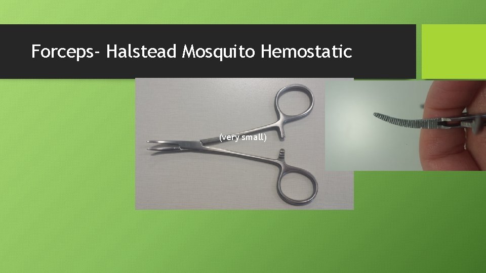 Forceps- Halstead Mosquito Hemostatic (very small) 