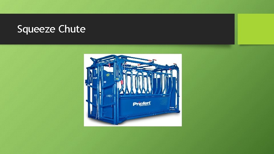 Squeeze Chute 