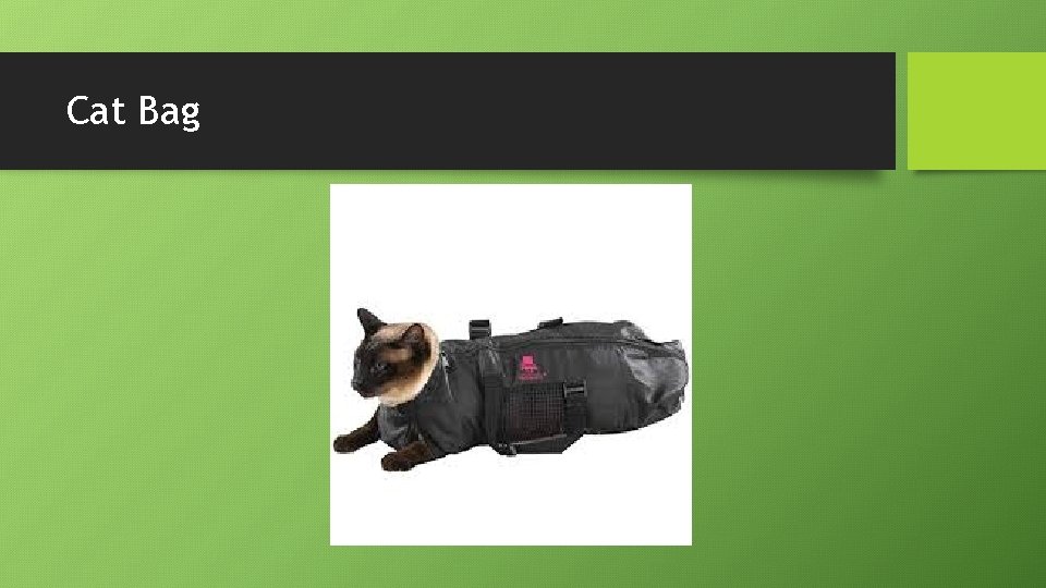 Cat Bag 