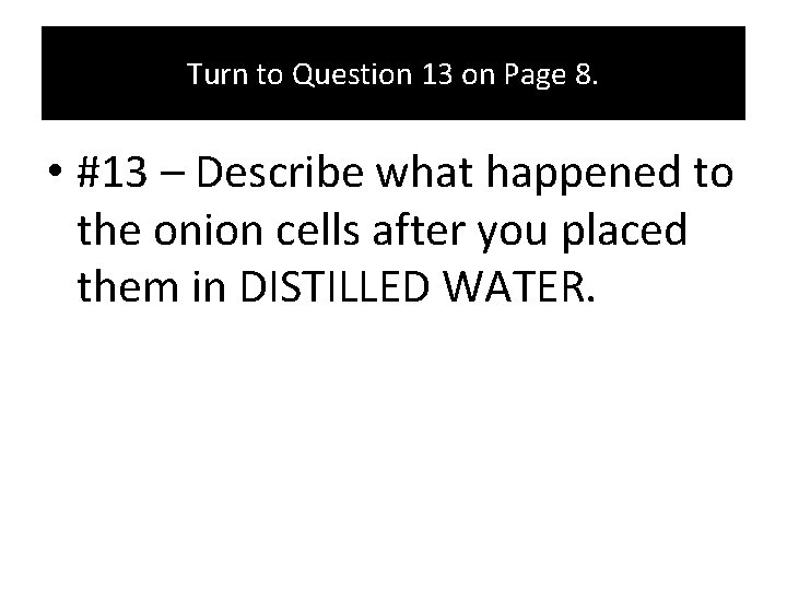 Turn to Question 13 on Page 8. • #13 – Describe what happened to