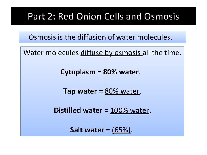 Part 2: Red Onion Cells and Osmosis is the diffusion of water molecules. Water