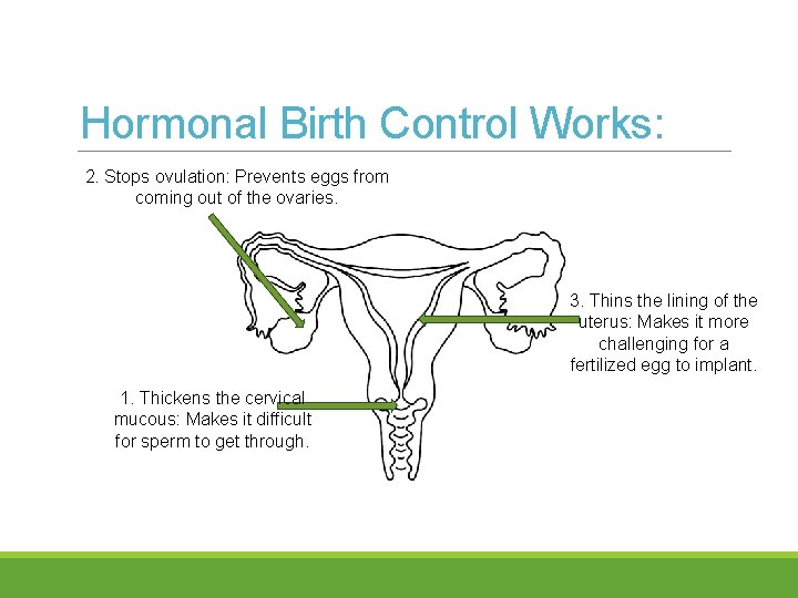 Hormonal Birth Control Works: 2. Stops ovulation: Prevents eggs from coming out of the