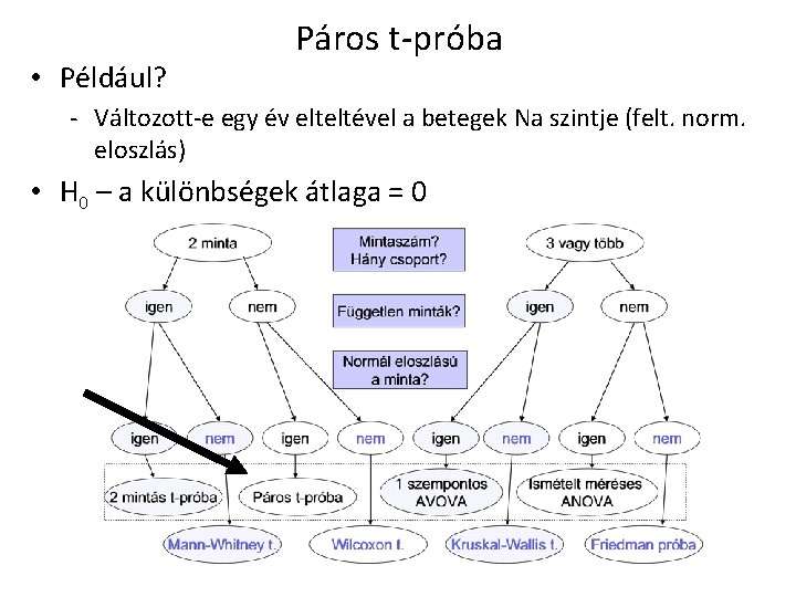  • Például? Páros t-próba - Változott-e egy év elteltével a betegek Na szintje