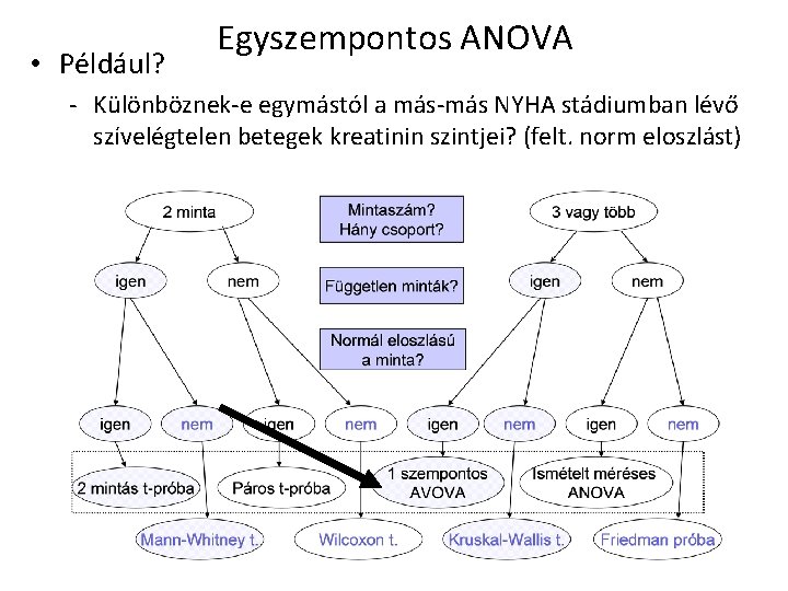  • Például? Egyszempontos ANOVA - Különböznek-e egymástól a más-más NYHA stádiumban lévő szívelégtelen