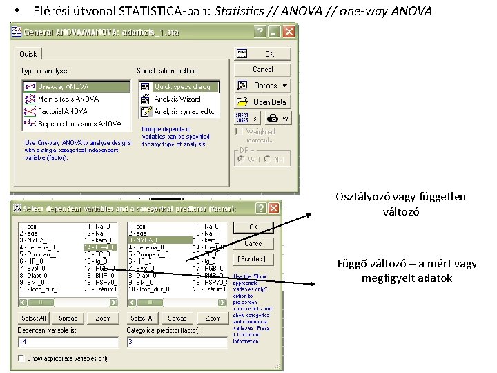  • Elérési útvonal STATISTICA-ban: Statistics // ANOVA // one-way ANOVA Osztályozó vagy független