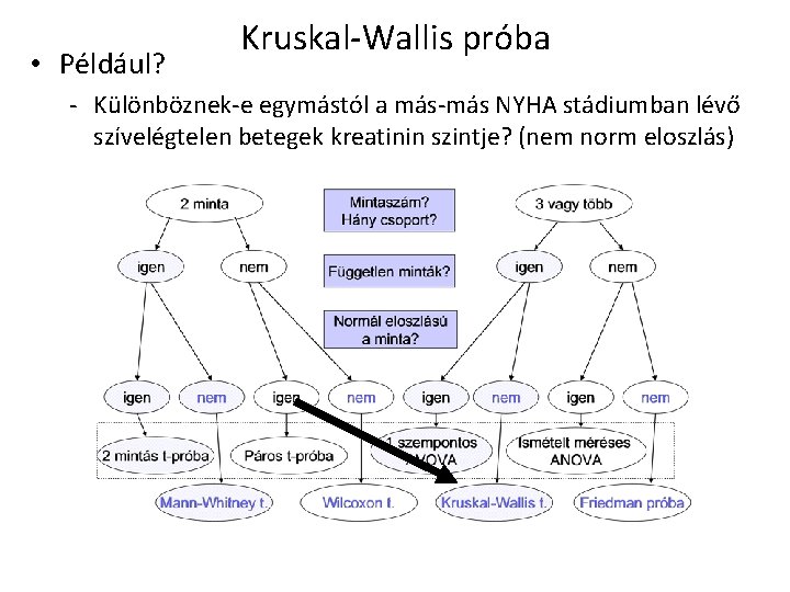  • Például? Kruskal-Wallis próba - Különböznek-e egymástól a más-más NYHA stádiumban lévő szívelégtelen