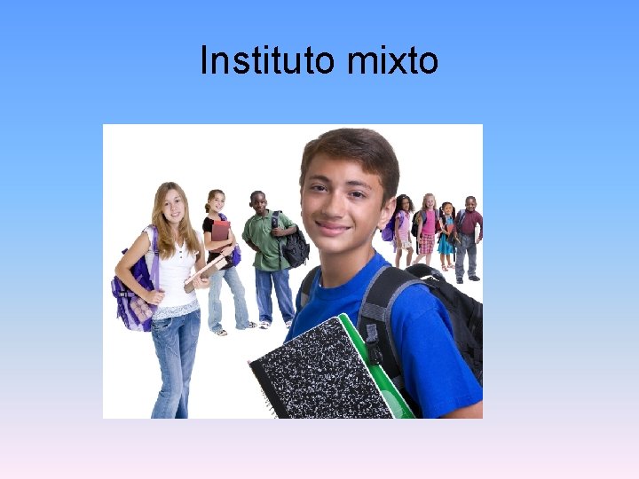 Instituto mixto 