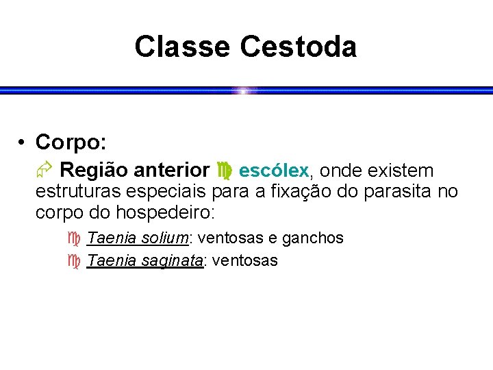 Classe Cestoda • Corpo: Região anterior escólex, onde existem estruturas especiais para a fixação