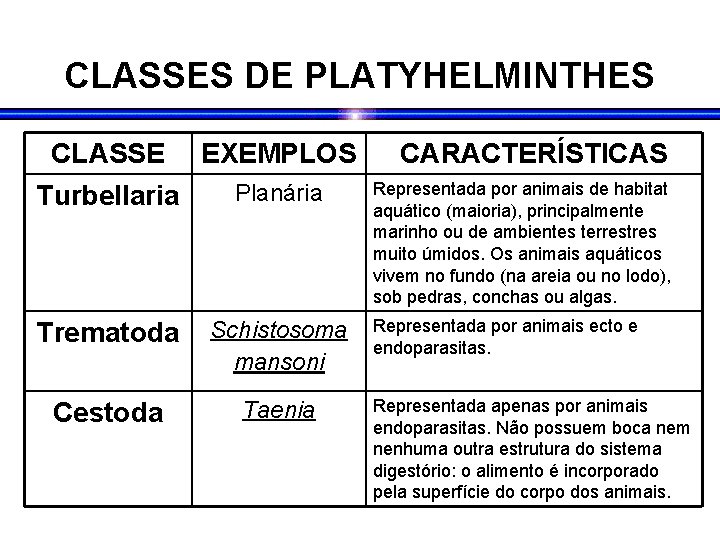 CLASSES DE PLATYHELMINTHES CLASSE EXEMPLOS Planária Turbellaria Trematoda Schistosoma mansoni Cestoda Taenia CARACTERÍSTICAS Representada