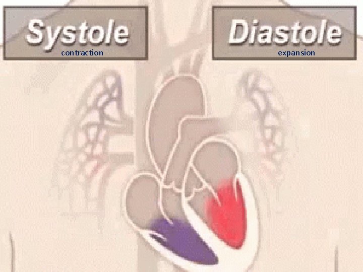 contraction expansion 