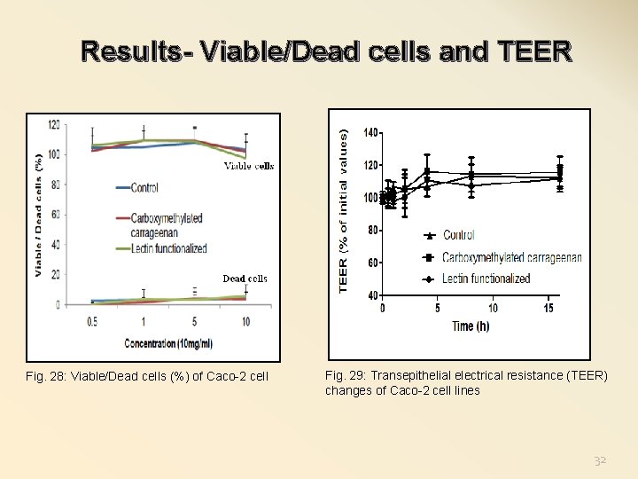 Results- Viable/Dead cells and TEER Fig. 28: Viable/Dead cells (%) of Caco-2 cell Fig.