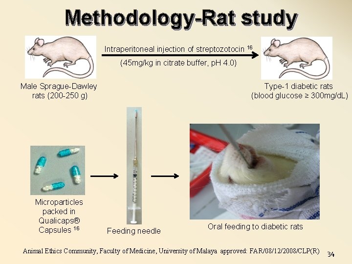 Methodology-Rat study Intraperitoneal injection of streptozotocin 16 (45 mg/kg in citrate buffer, p. H