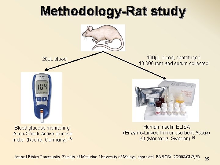 Methodology-Rat study 20µL blood Blood glucose monitoring Accu-Check Active glucose meter (Roche, Germany) 16