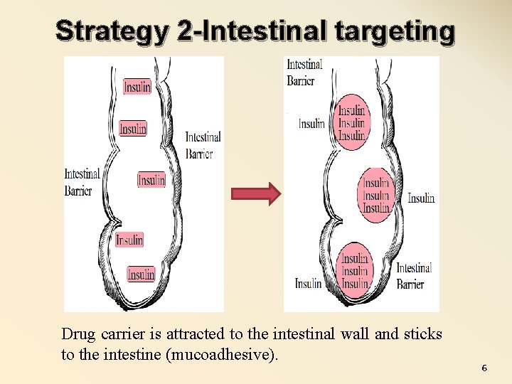 Strategy 2 -Intestinal targeting Drug carrier is attracted to the intestinal wall and sticks