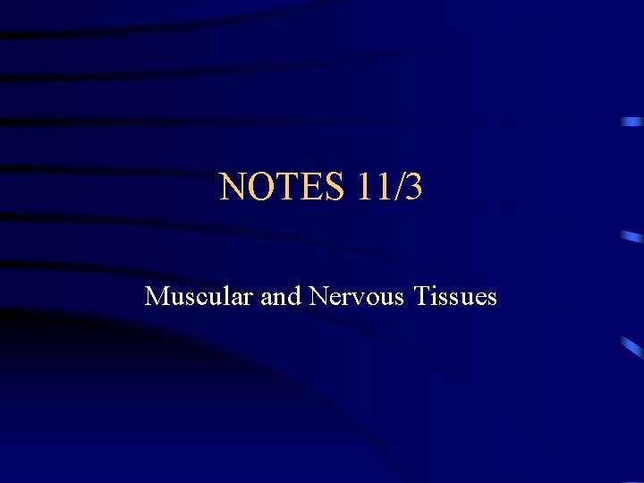 NOTES 11/3 Muscular and Nervous Tissues 