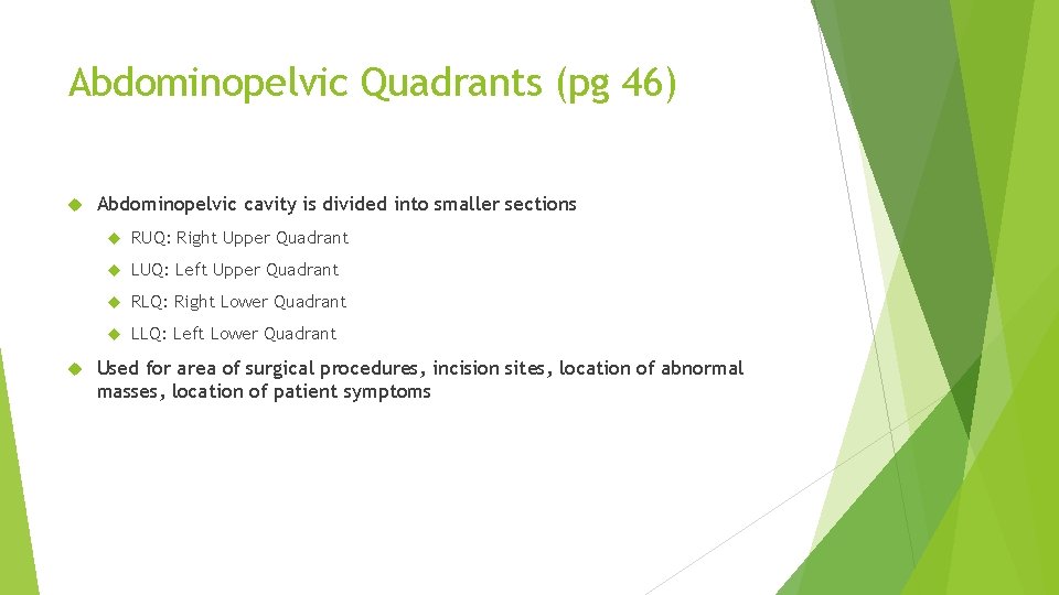 Abdominopelvic Quadrants (pg 46) Abdominopelvic cavity is divided into smaller sections RUQ: Right Upper