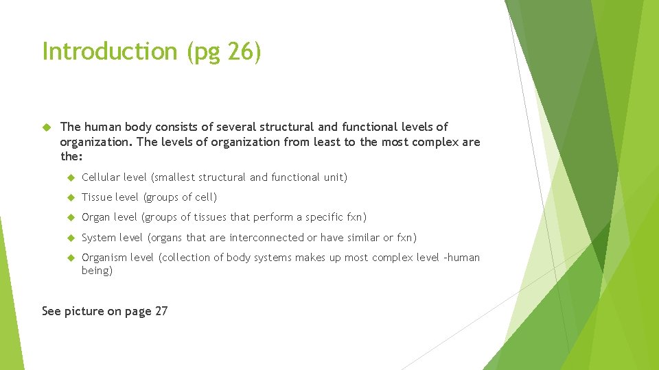 Introduction (pg 26) The human body consists of several structural and functional levels of
