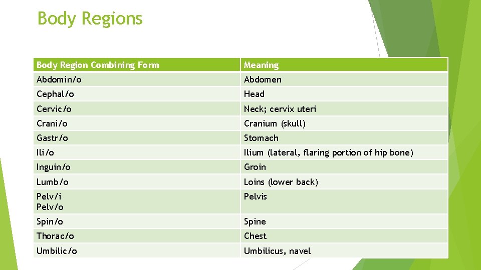 Body Regions Body Region Combining Form Meaning Abdomin/o Abdomen Cephal/o Head Cervic/o Neck; cervix