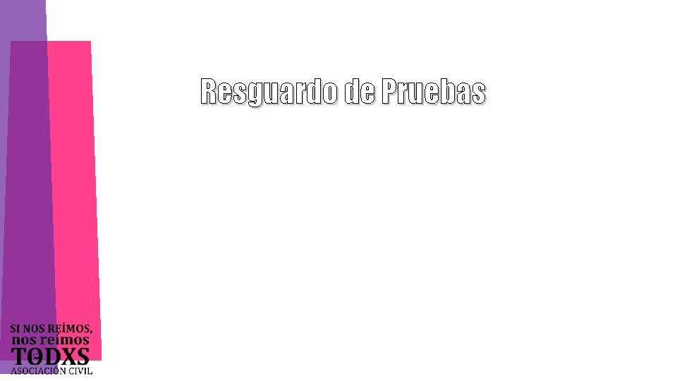 Resguardo de Pruebas 