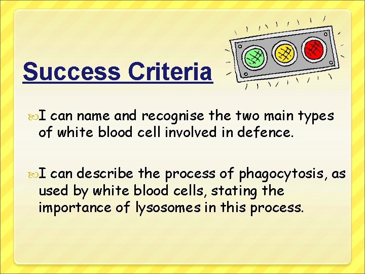 Success Criteria I can name and recognise the two main types of white blood