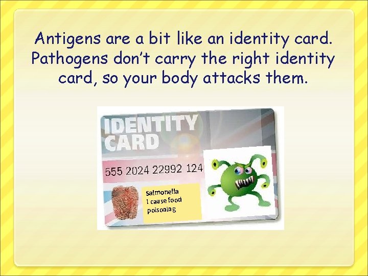 Antigens are a bit like an identity card. Pathogens don’t carry the right identity