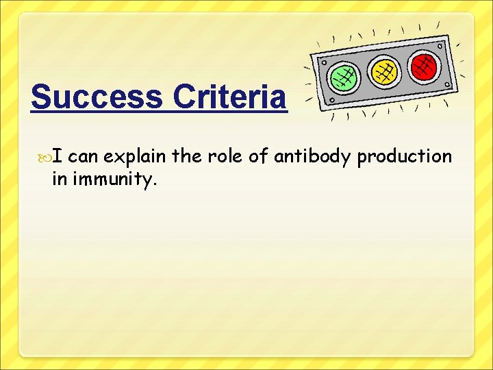 Success Criteria I can explain the role of antibody production in immunity. 