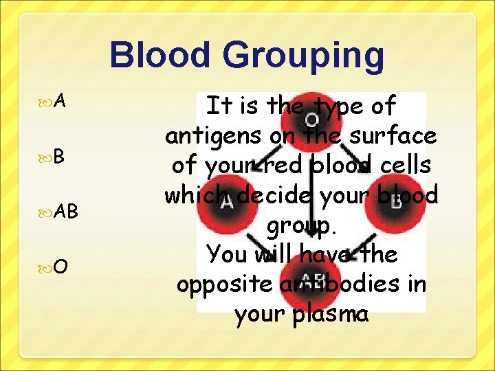 Blood Grouping A B AB O It is the type of antigens on the