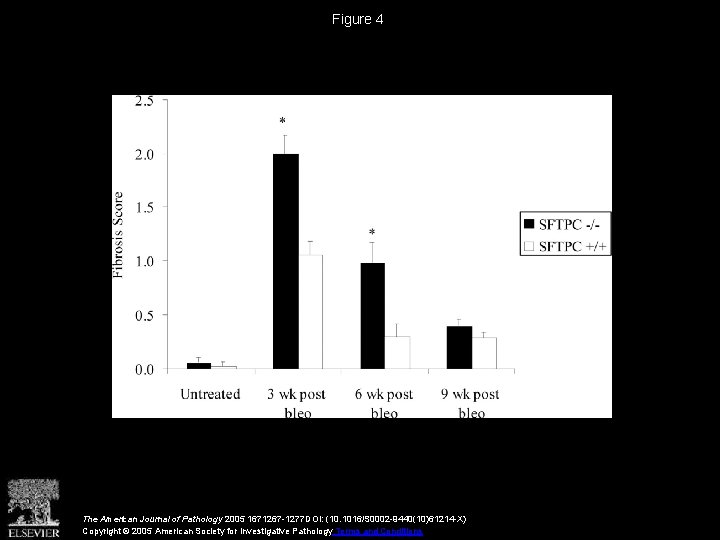 Figure 4 The American Journal of Pathology 2005 1671267 -1277 DOI: (10. 1016/S 0002