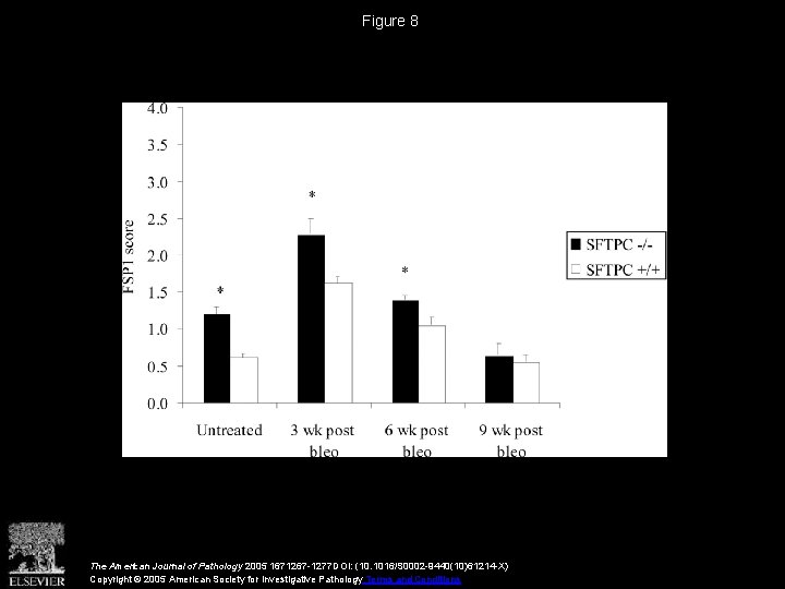 Figure 8 The American Journal of Pathology 2005 1671267 -1277 DOI: (10. 1016/S 0002