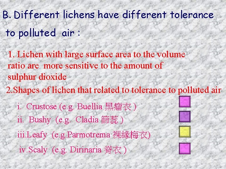 B. Different lichens have different tolerance to polluted air : 1. Lichen with large