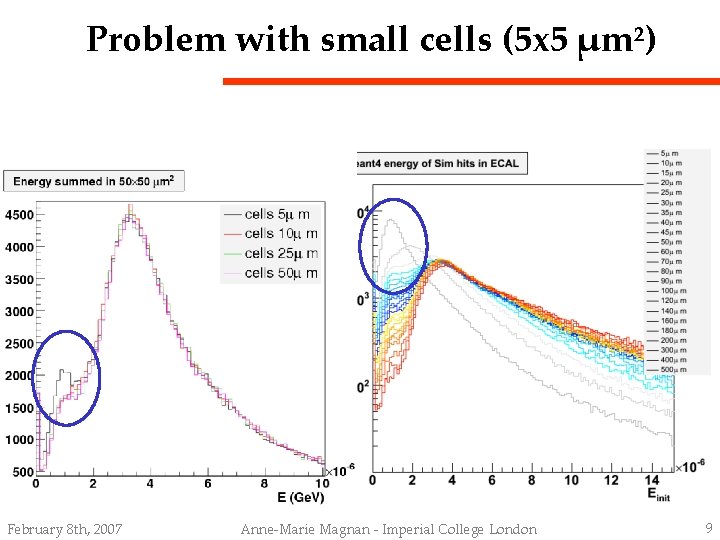 Problem with small cells (5 x 5 μm²) February 8 th, 2007 Anne-Marie Magnan