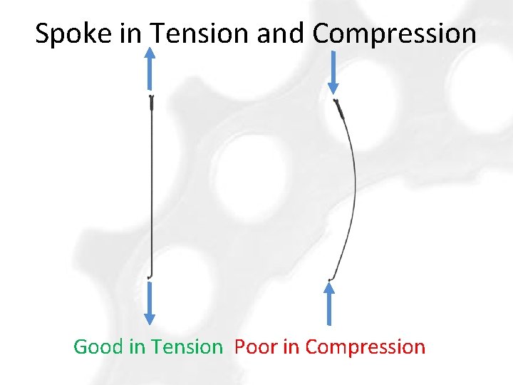 Spoke in Tension and Compression Good in Tension Poor in Compression 