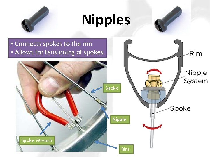 Nipples • Connects spokes to the rim. • Allows for tensioning of spokes. Spoke