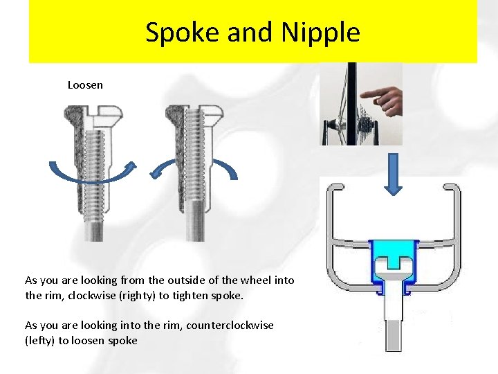 Spoke and Nipple Loosen As you are looking from the outside of the wheel