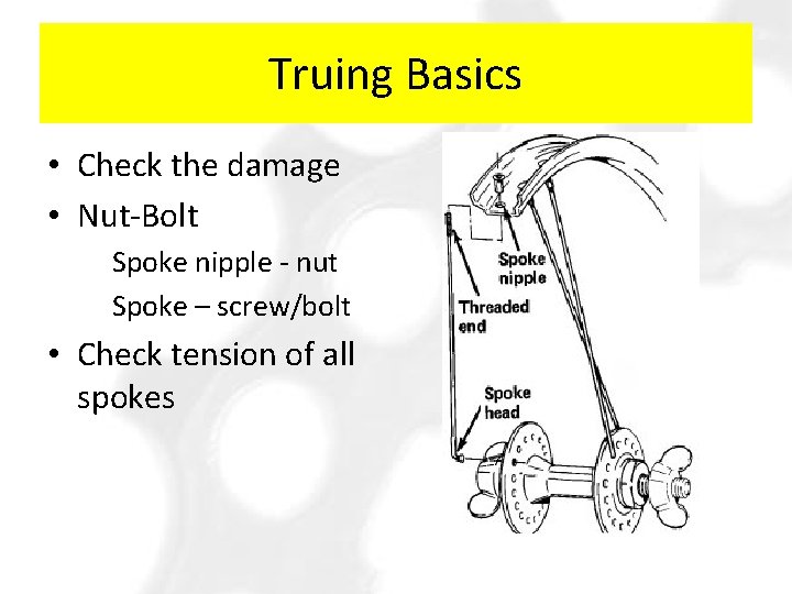 Truing Basics • Check the damage • Nut-Bolt Spoke nipple - nut Spoke –