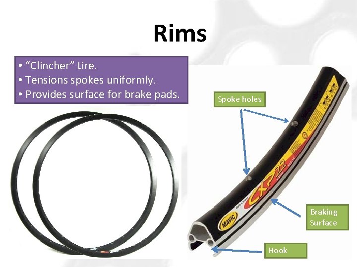 Rims • “Clincher” tire. • Tensions spokes uniformly. • Provides surface for brake pads.