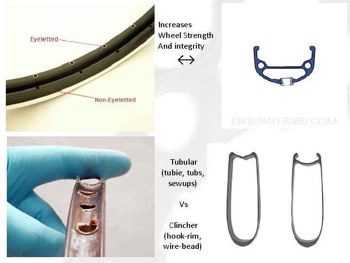 Increases Wheel Strength And integrity ↔ Tubular (tubie, tubs, sewups) Vs Clincher (hook-rim, wire-bead)