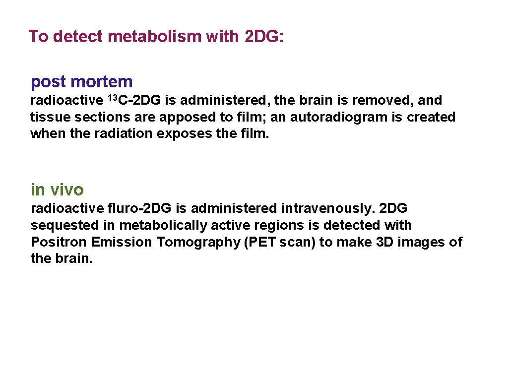 To detect metabolism with 2 DG: post mortem radioactive 13 C-2 DG is administered,