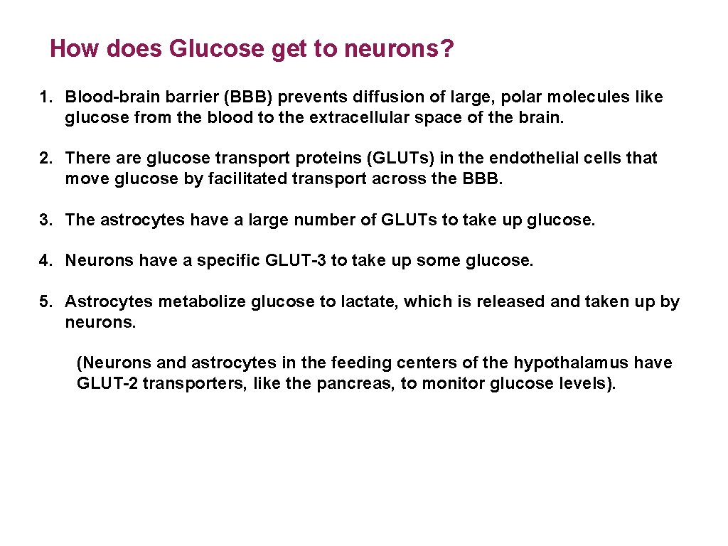 How does Glucose get to neurons? 1. Blood-brain barrier (BBB) prevents diffusion of large,