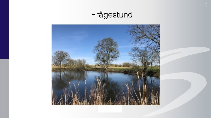 13 Frågestund 