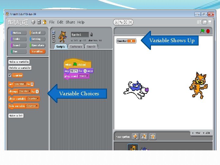 Variable Shows Up Variable Choices 