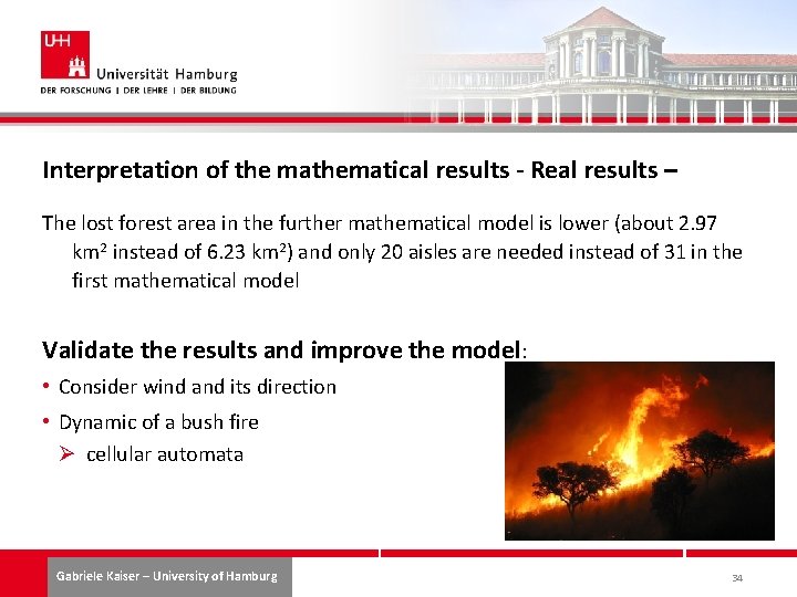 Interpretation of the mathematical results - Real results – The lost forest area in