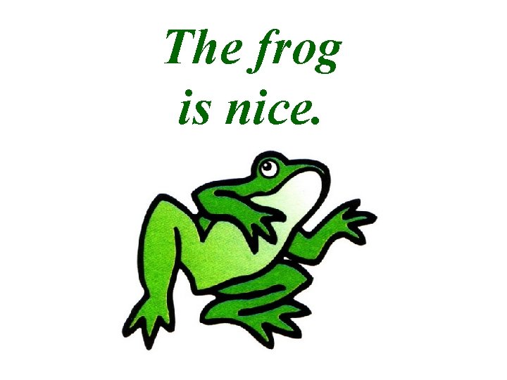 The frog is nice. 