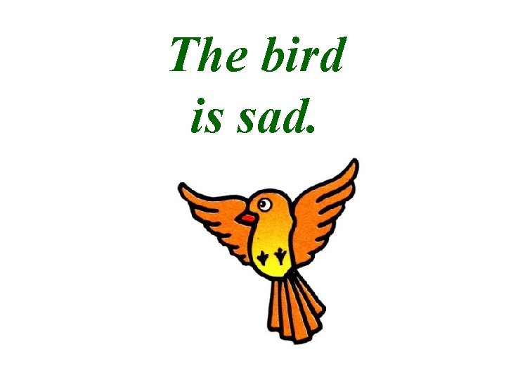 The bird is sad. 