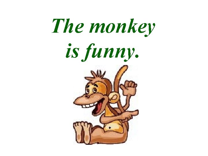 The monkey is funny. 