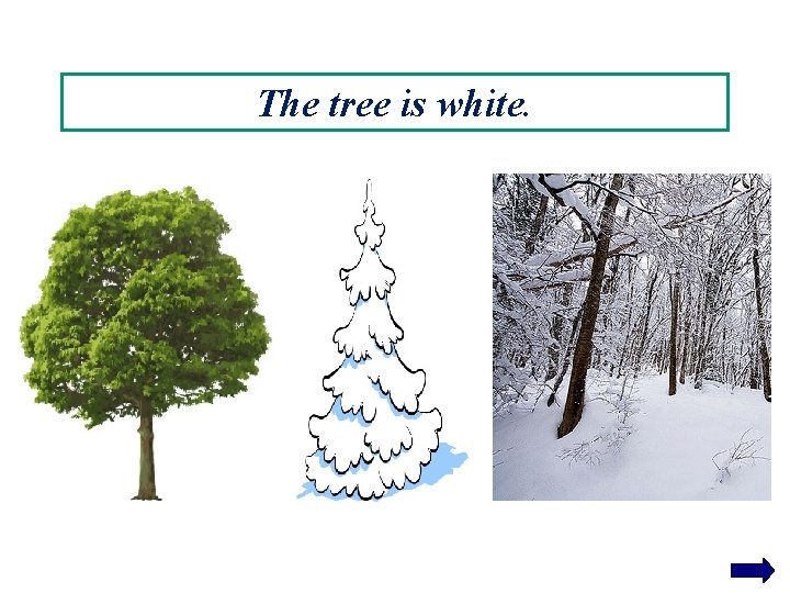 The tree is white. 