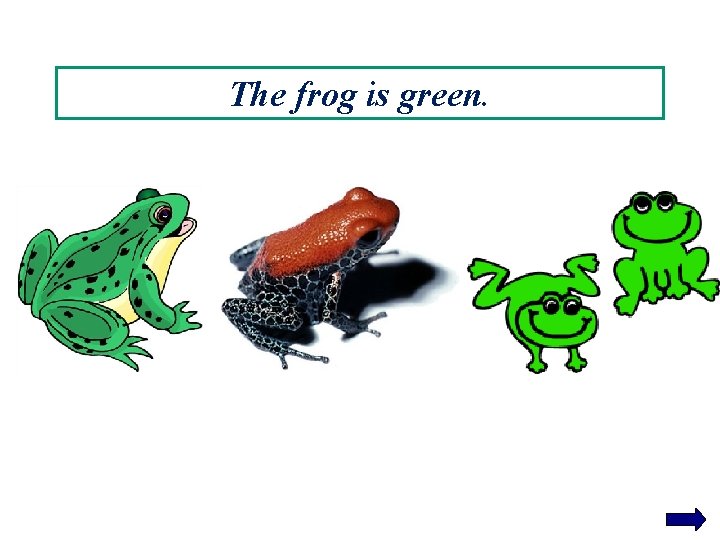 The frog is green. 
